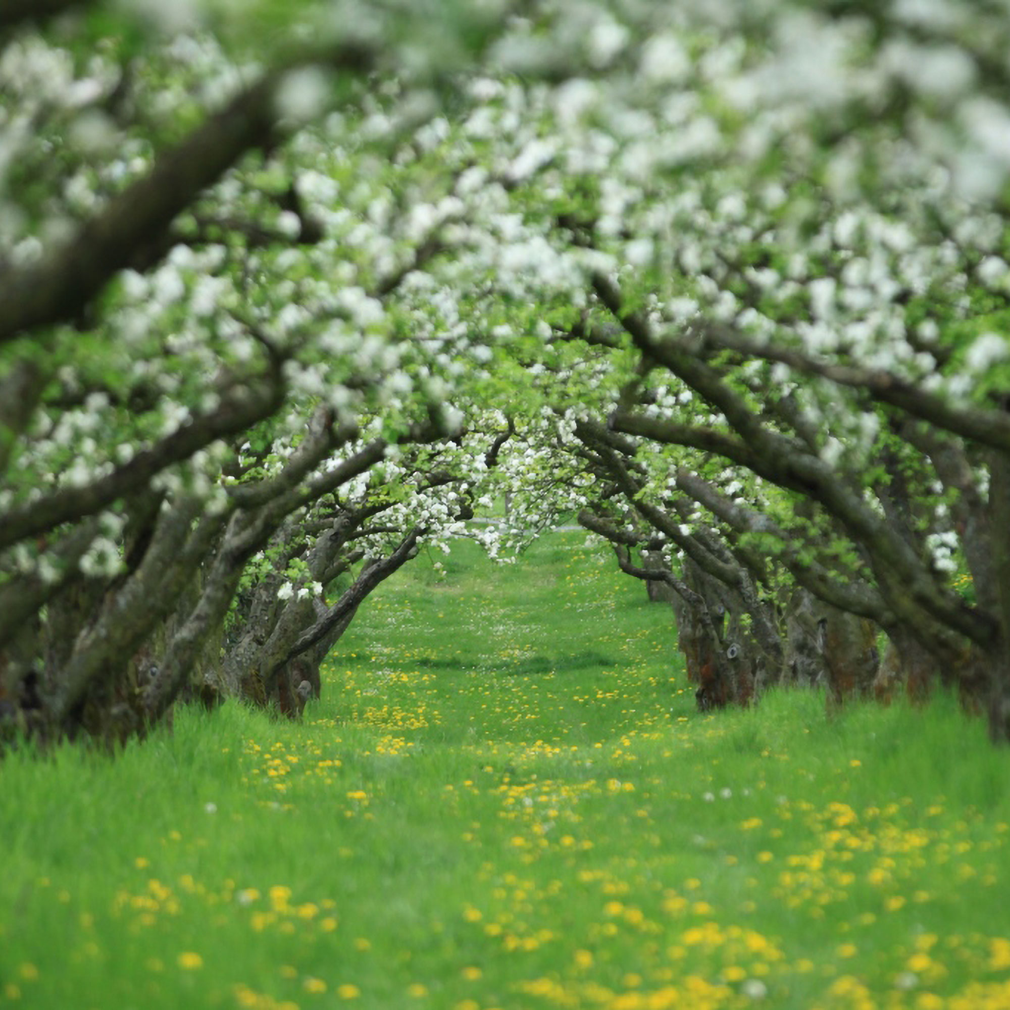 Stöffsche & Sterneküche