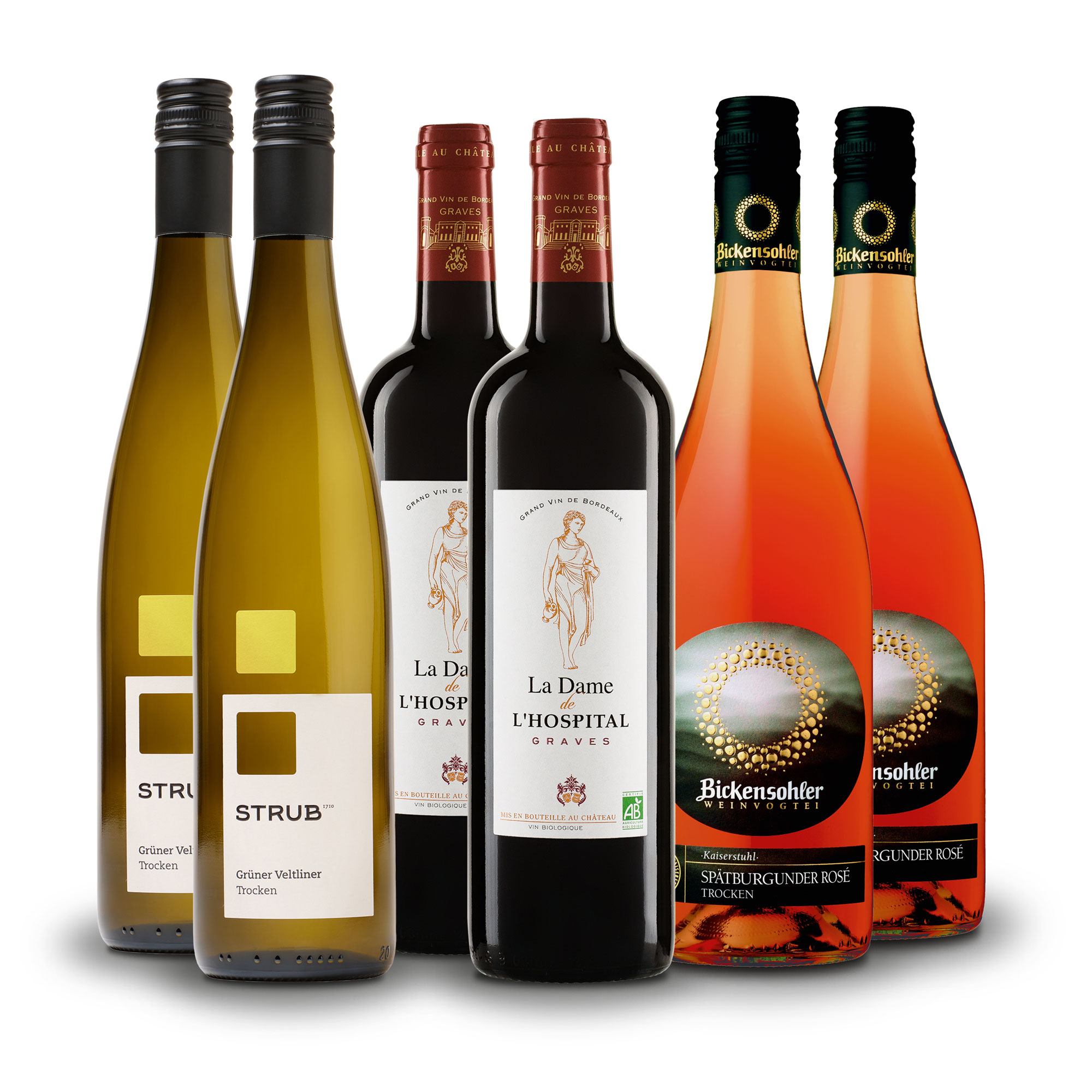 Sechs Weinflaschen verschiedener Sorten, darunter Weißwein, Rotwein und Rosé, nebeneinander auf weißem Hintergrund