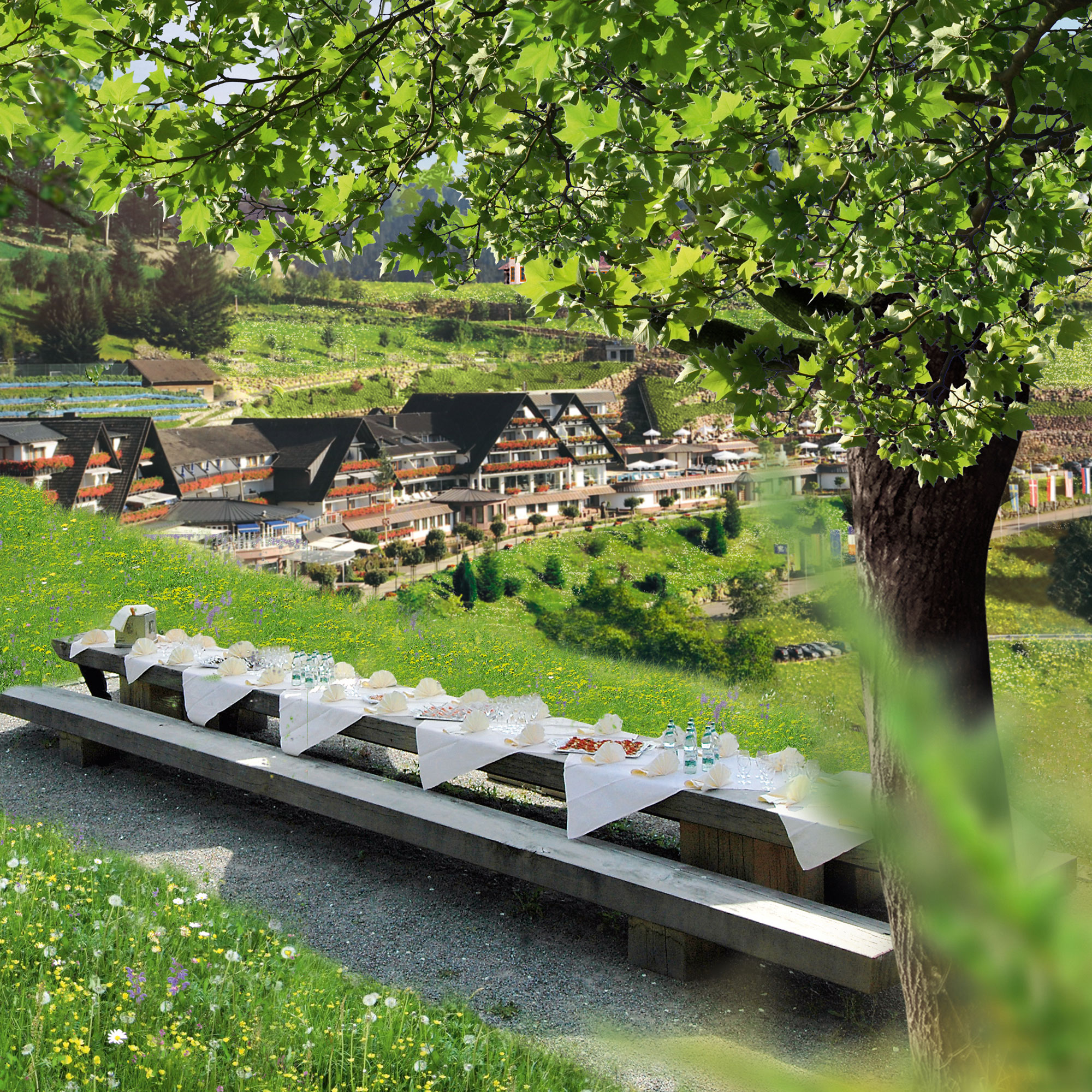 P_Genussevent-Dollenberg-59071_Tisch-Aussen_RGB_L
