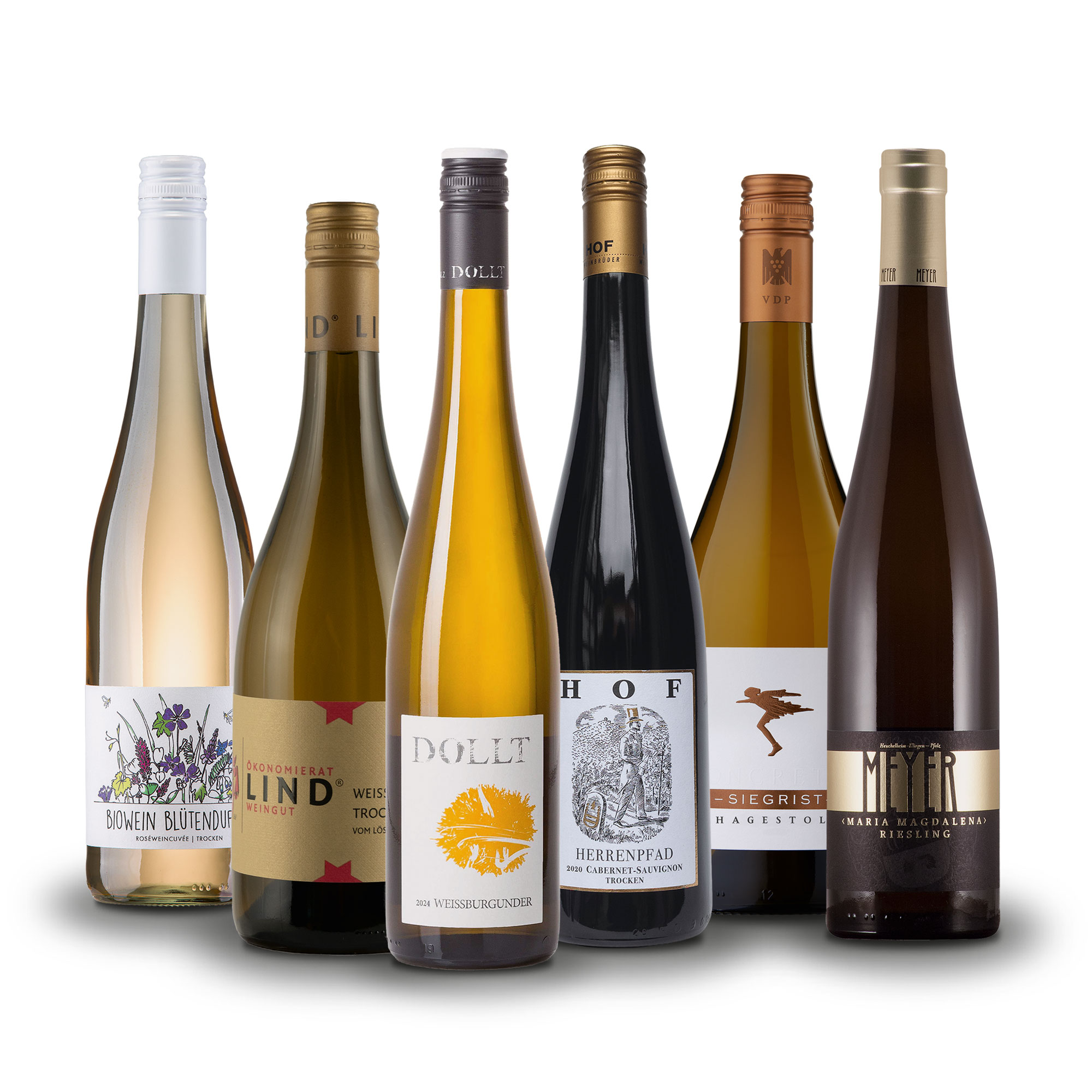 Sechs verschiedene Weinflaschen aus der F.A.Z.-Weinselection Pfalz Die Goldenen Zwanziger nebeneinander stehend